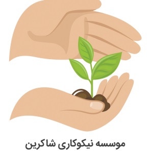 داوطلب 1